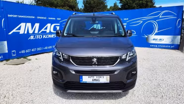 PEUGEOT Rifter