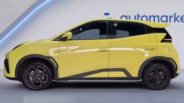 BYD Dolphin Surf