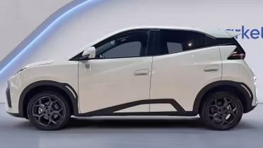 BYD Dolphin Surf