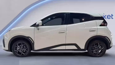 BYD Dolphin Surf