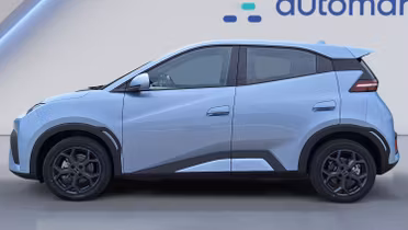BYD Dolphin Surf