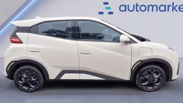 BYD Dolphin Surf