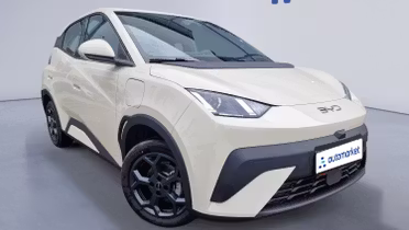 BYD Dolphin Surf