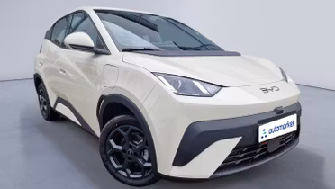 BYD Dolphin Surf