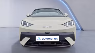 BYD Dolphin Surf