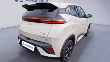 BYD Dolphin Surf
