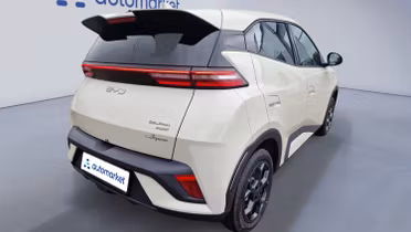BYD Dolphin Surf
