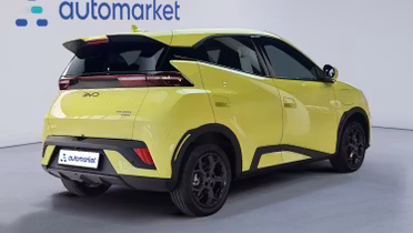 BYD Dolphin Surf
