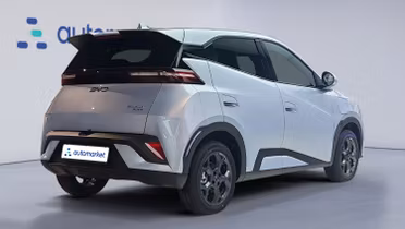 BYD Dolphin Surf