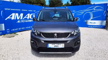 PEUGEOT Rifter