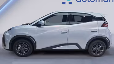 BYD Dolphin Surf