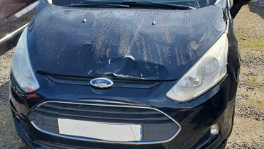 FORD B-MAX