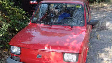 FIAT 126