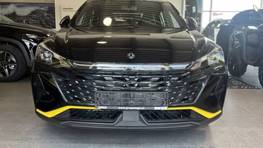 DONGFENG Shine