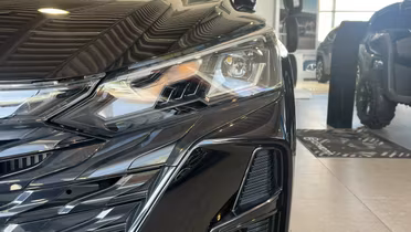 DONGFENG Shine