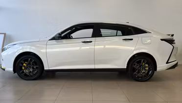 DONGFENG Shine