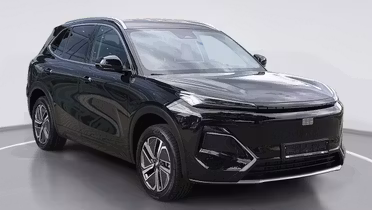 GEELY Starray