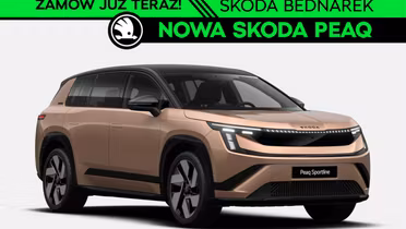 SKODA 100
