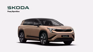 SKODA 100