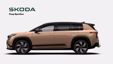 SKODA 100