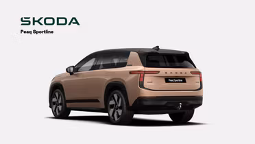 SKODA 100
