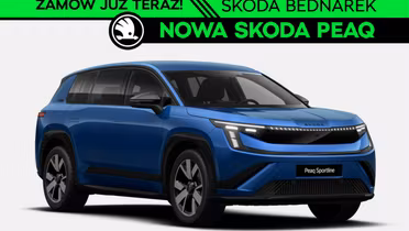 SKODA 100