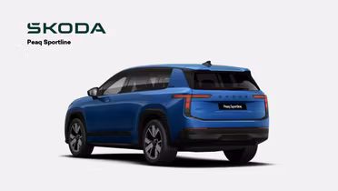 SKODA 100