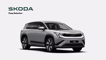 SKODA 100