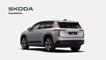 SKODA 100
