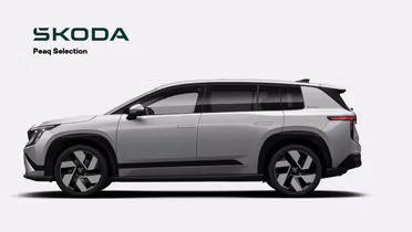 SKODA 100