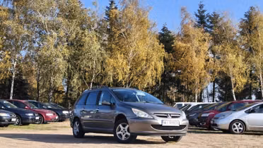 PEUGEOT 307