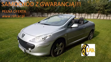 PEUGEOT 307