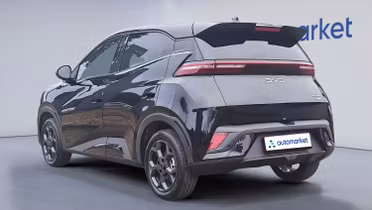 BYD Dolphin Surf