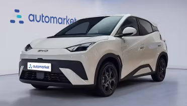 BYD Dolphin Surf