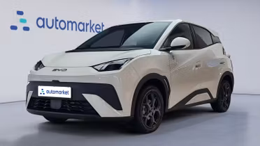 BYD Dolphin Surf