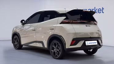 BYD Dolphin Surf