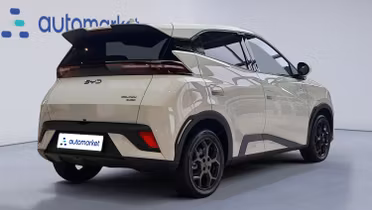 BYD Dolphin Surf