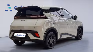 BYD Dolphin Surf