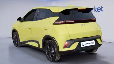 BYD Dolphin Surf