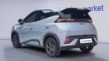 BYD Dolphin Surf