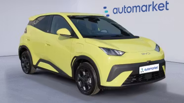 BYD Dolphin Surf