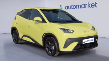 BYD Dolphin Surf