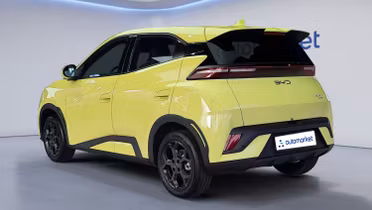 BYD Dolphin Surf