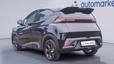 BYD Dolphin Surf