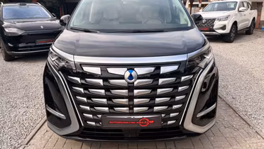 DENZA D9
