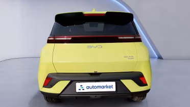 BYD Dolphin Surf