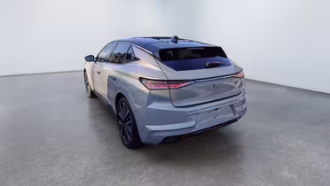 DS DS4