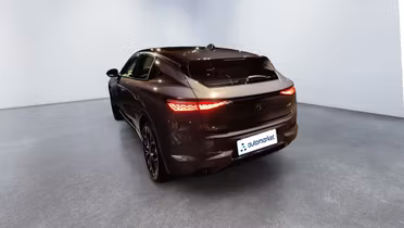 DS DS4