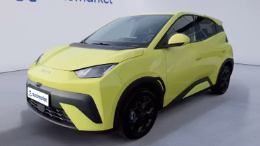 BYD Dolphin Surf