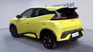BYD Dolphin Surf